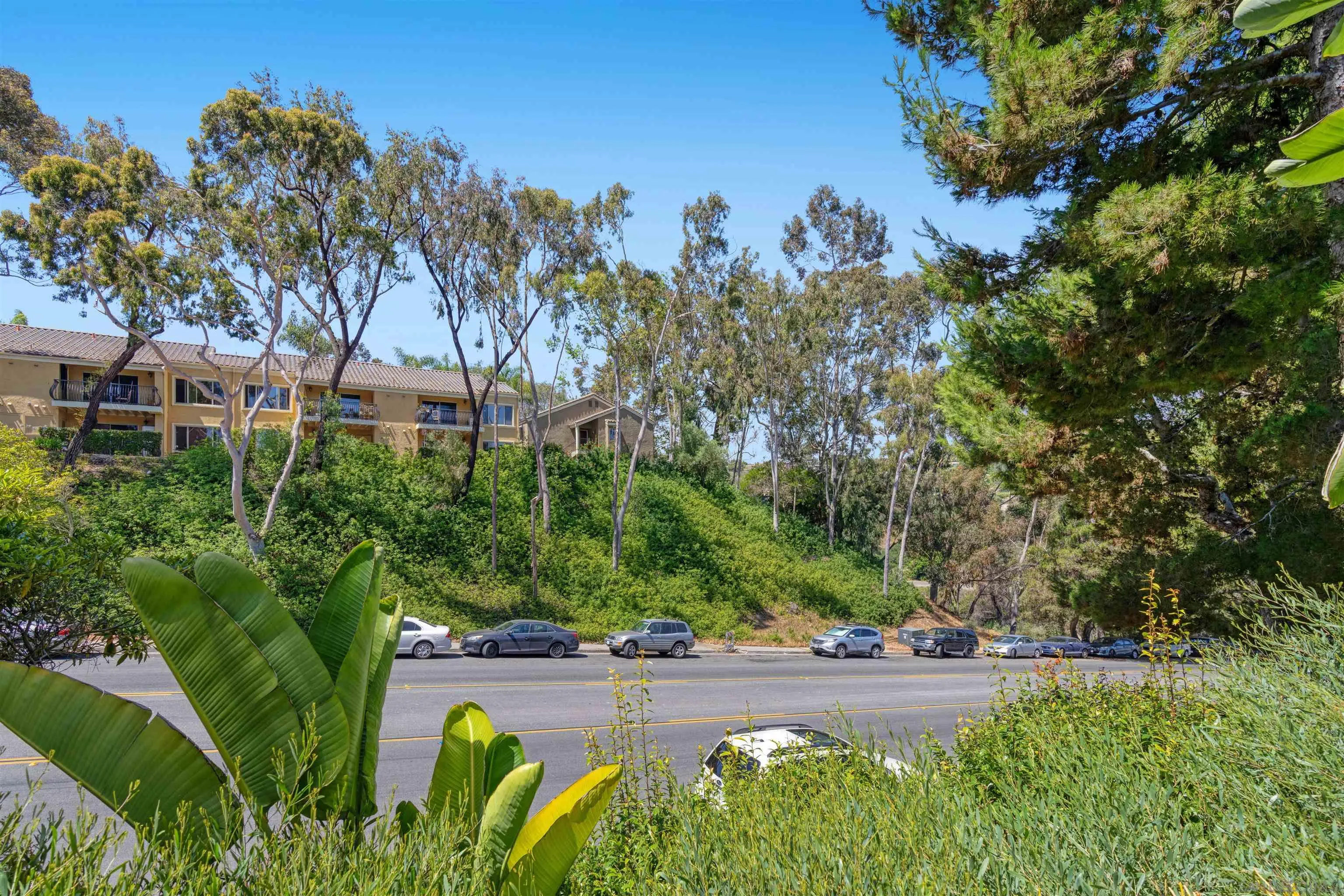 3136 Via Alicante Unit F