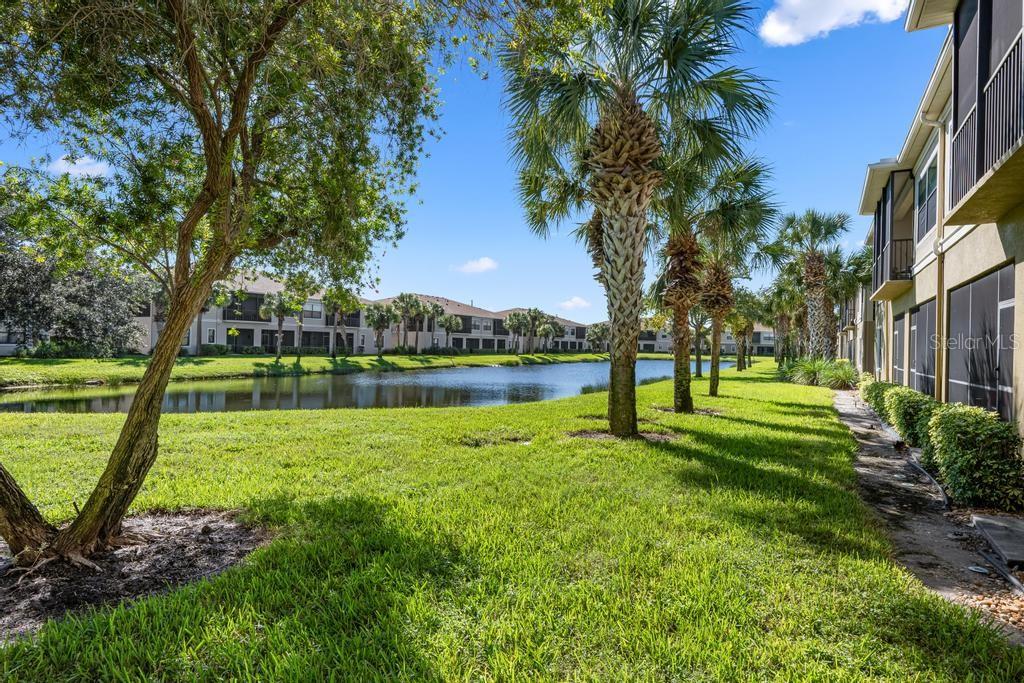4208 OVERTURE CIR #502