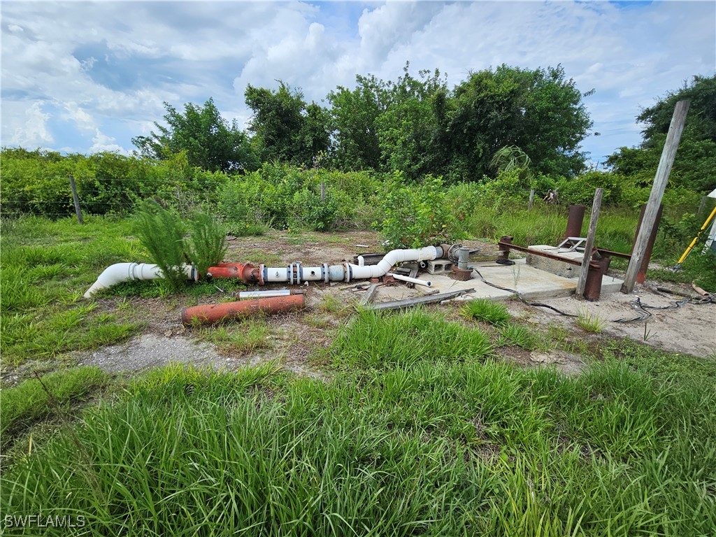 Kirby Thompson RD