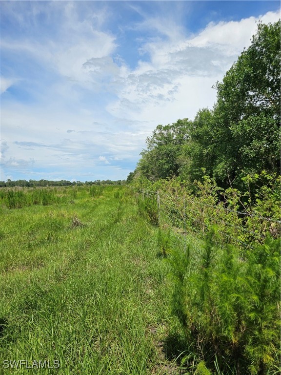 Kirby Thompson RD