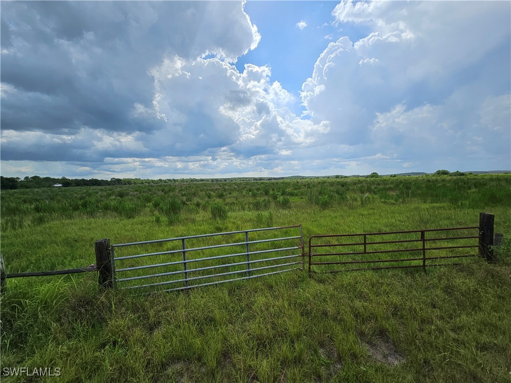 Kirby Thompson RD