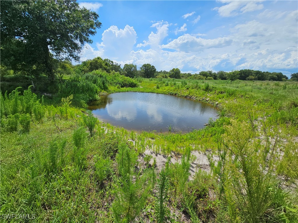 Kirby Thompson RD