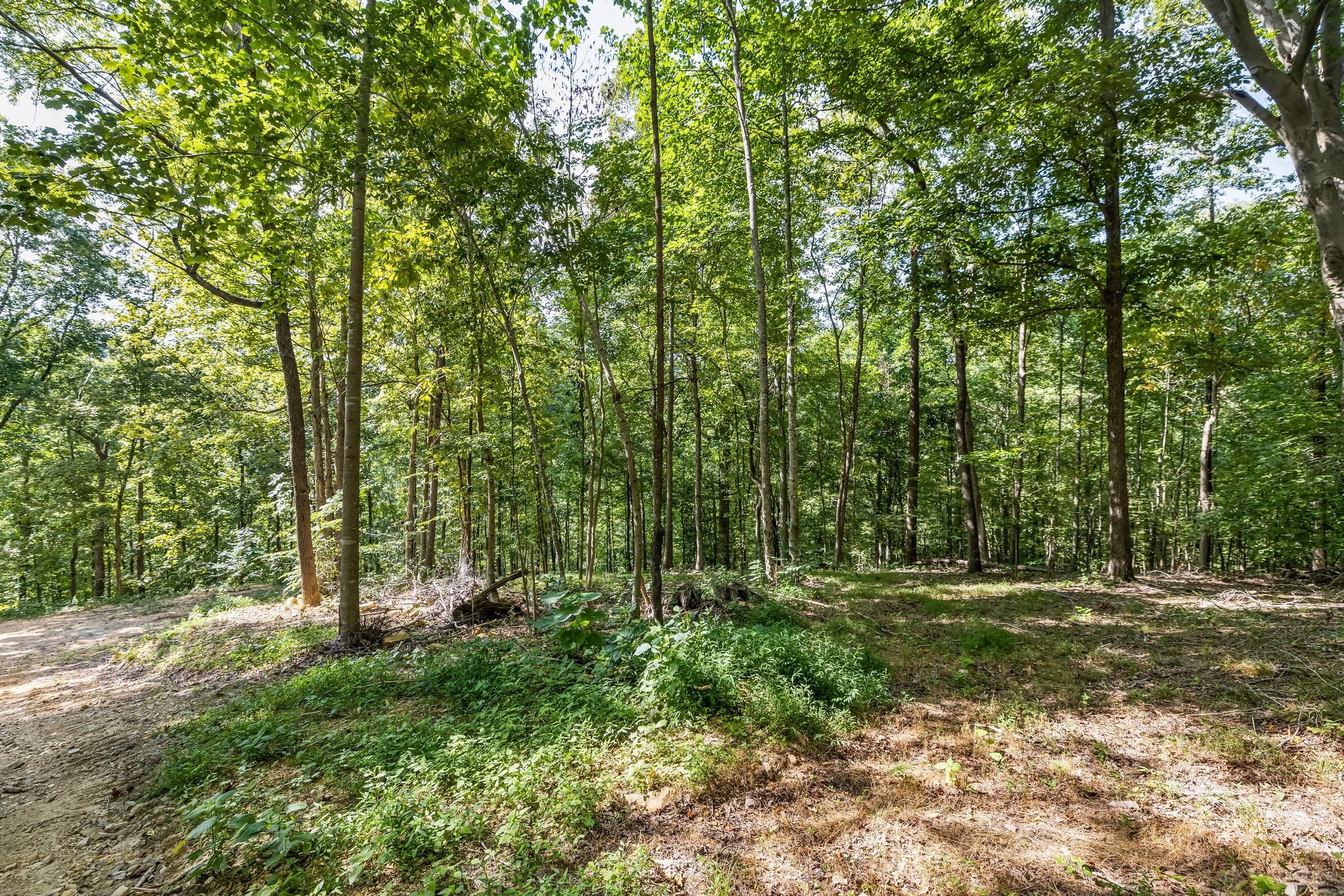 1187 Mud Hollow Rd