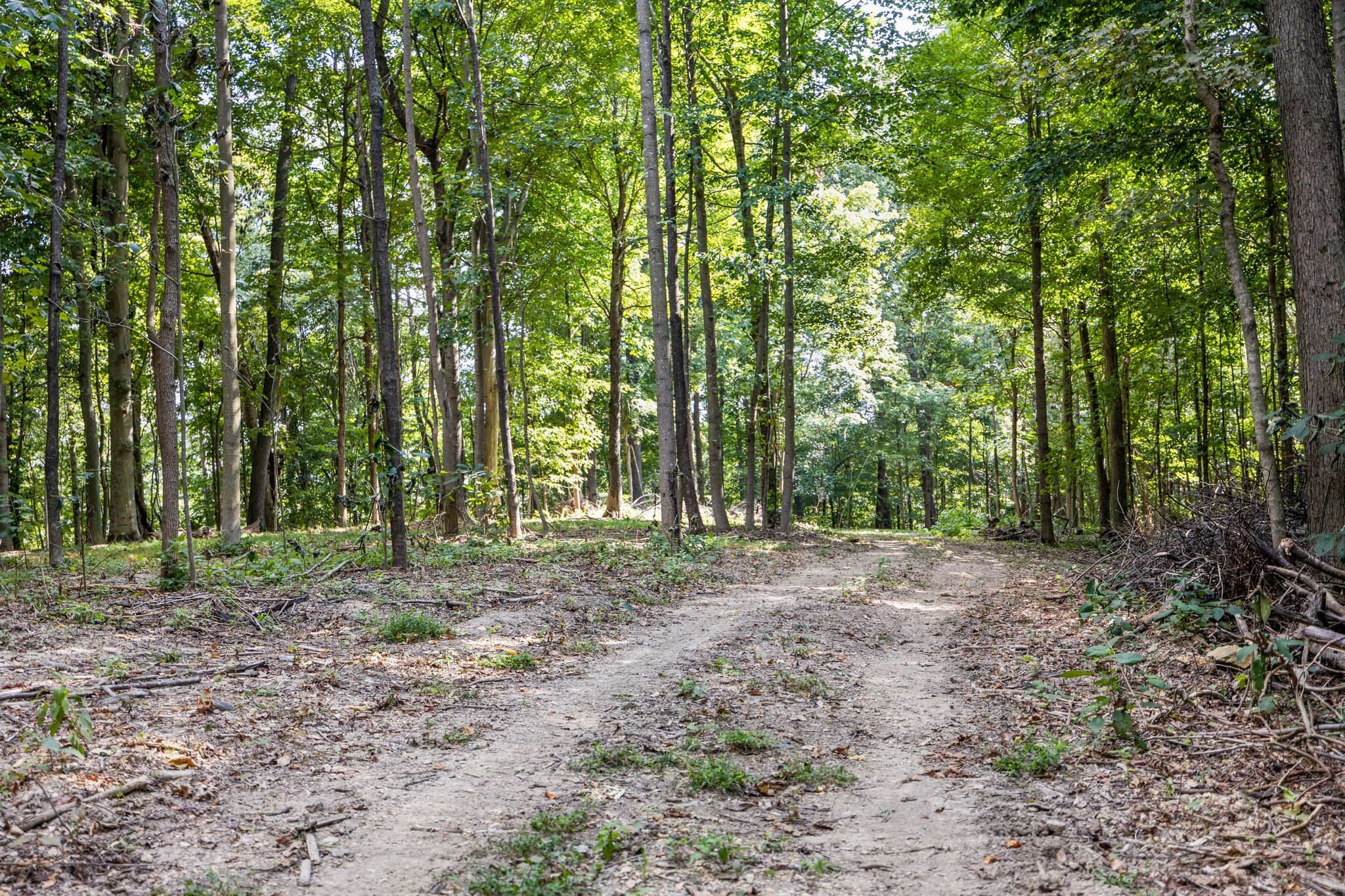 1187 Mud Hollow Rd