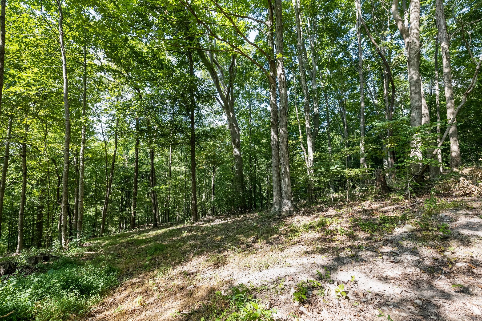 1187 Mud Hollow Rd