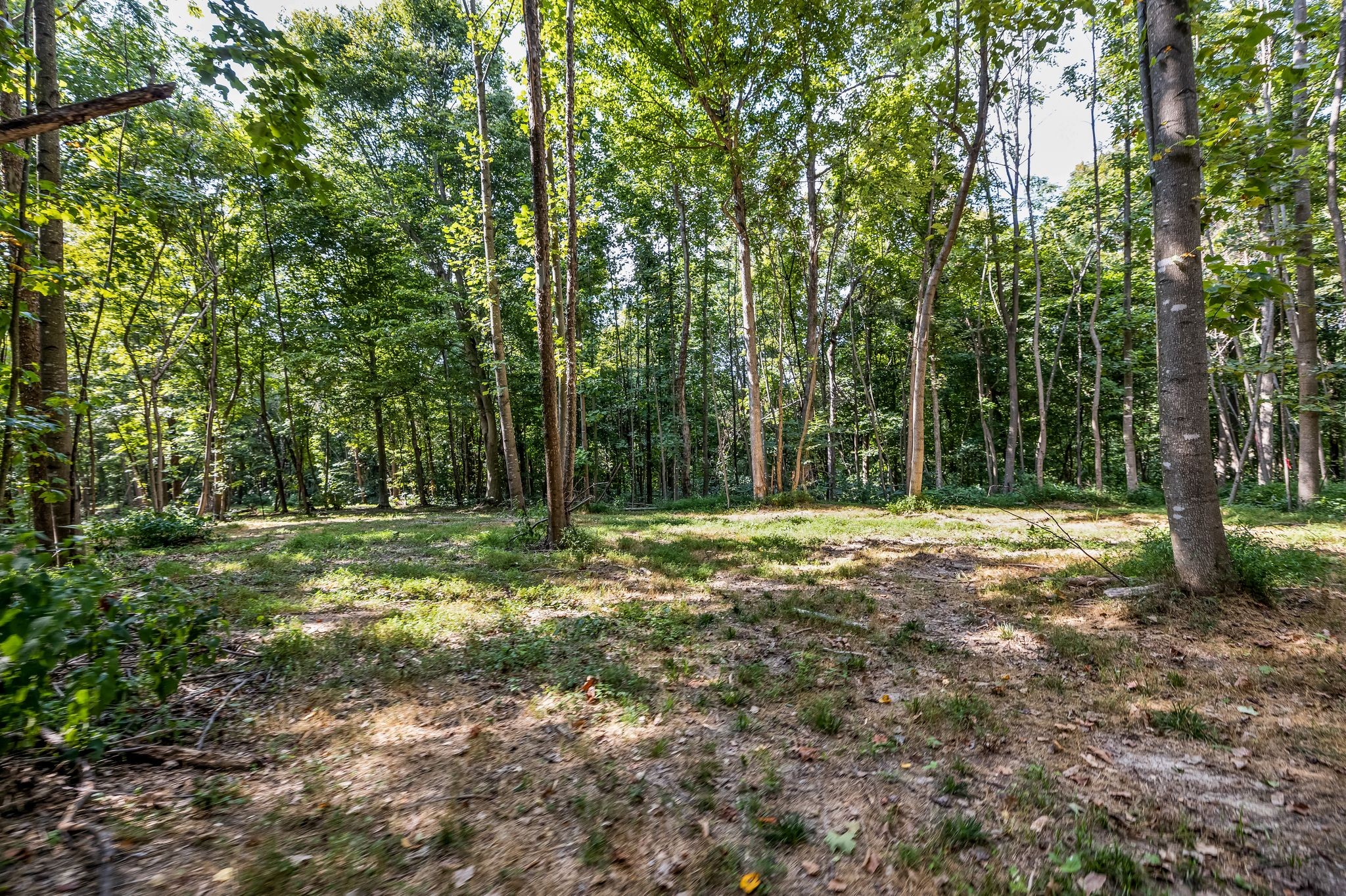 1187 Mud Hollow Rd