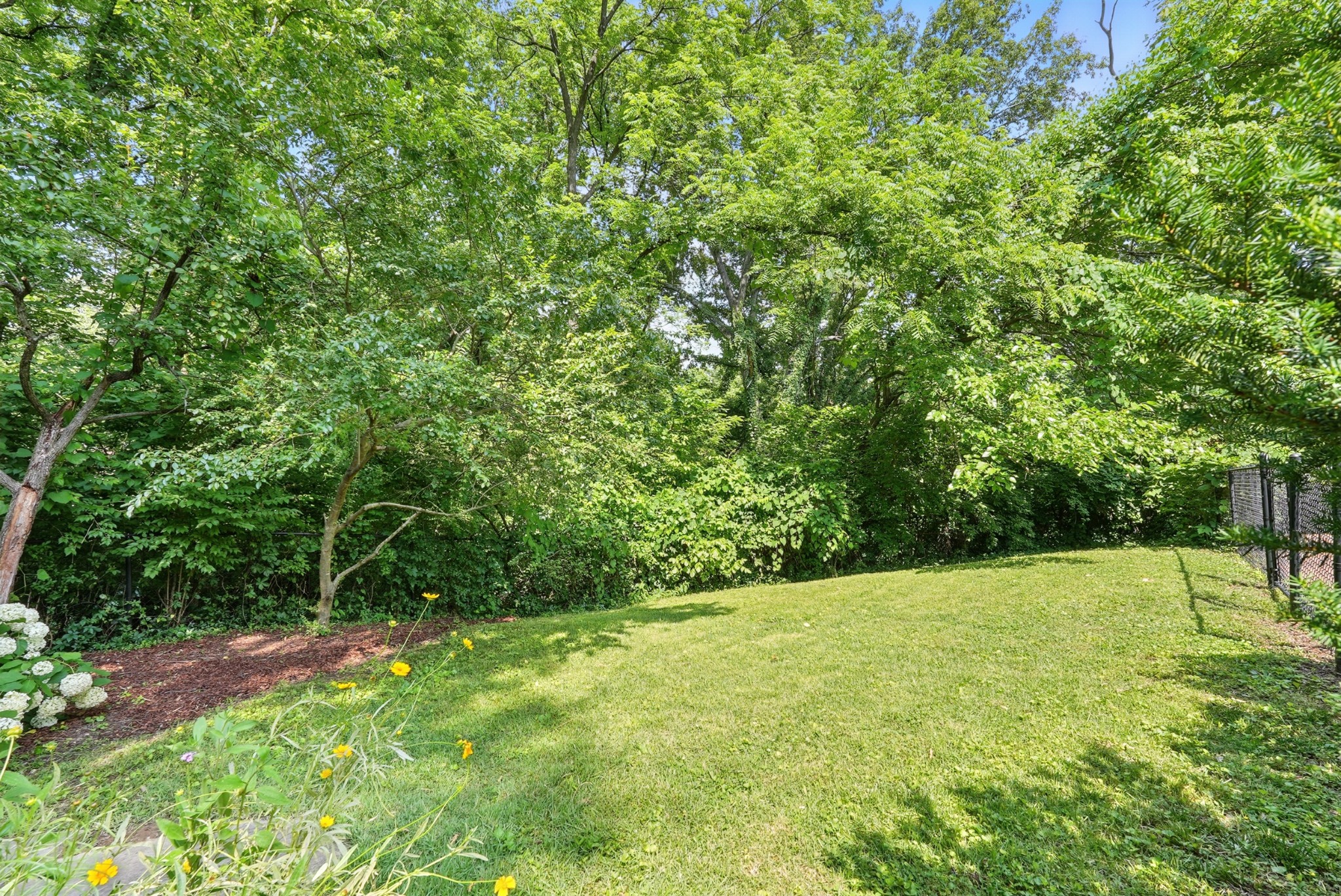 934 Giant Oak Dr