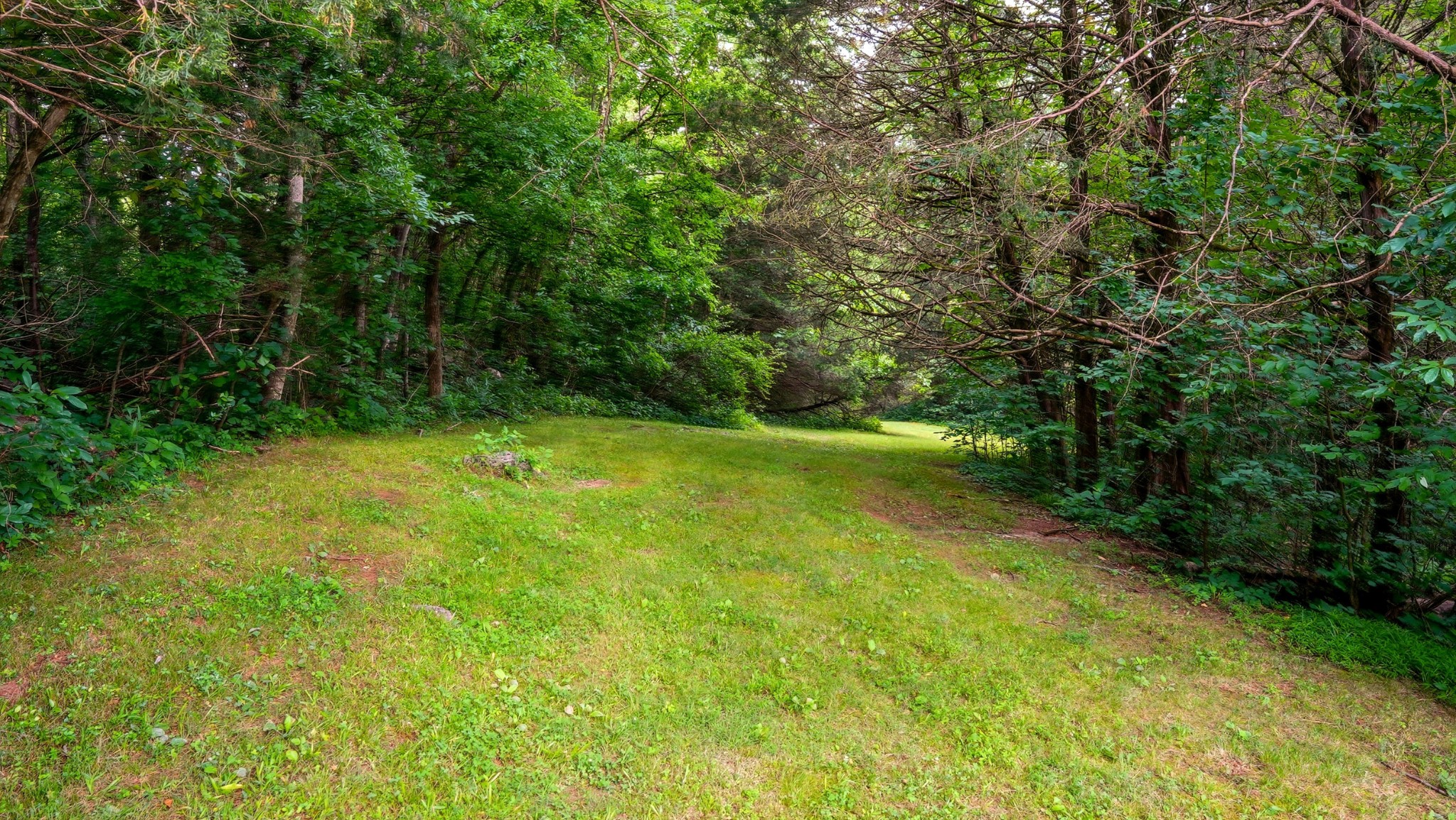 427 Adams Rd