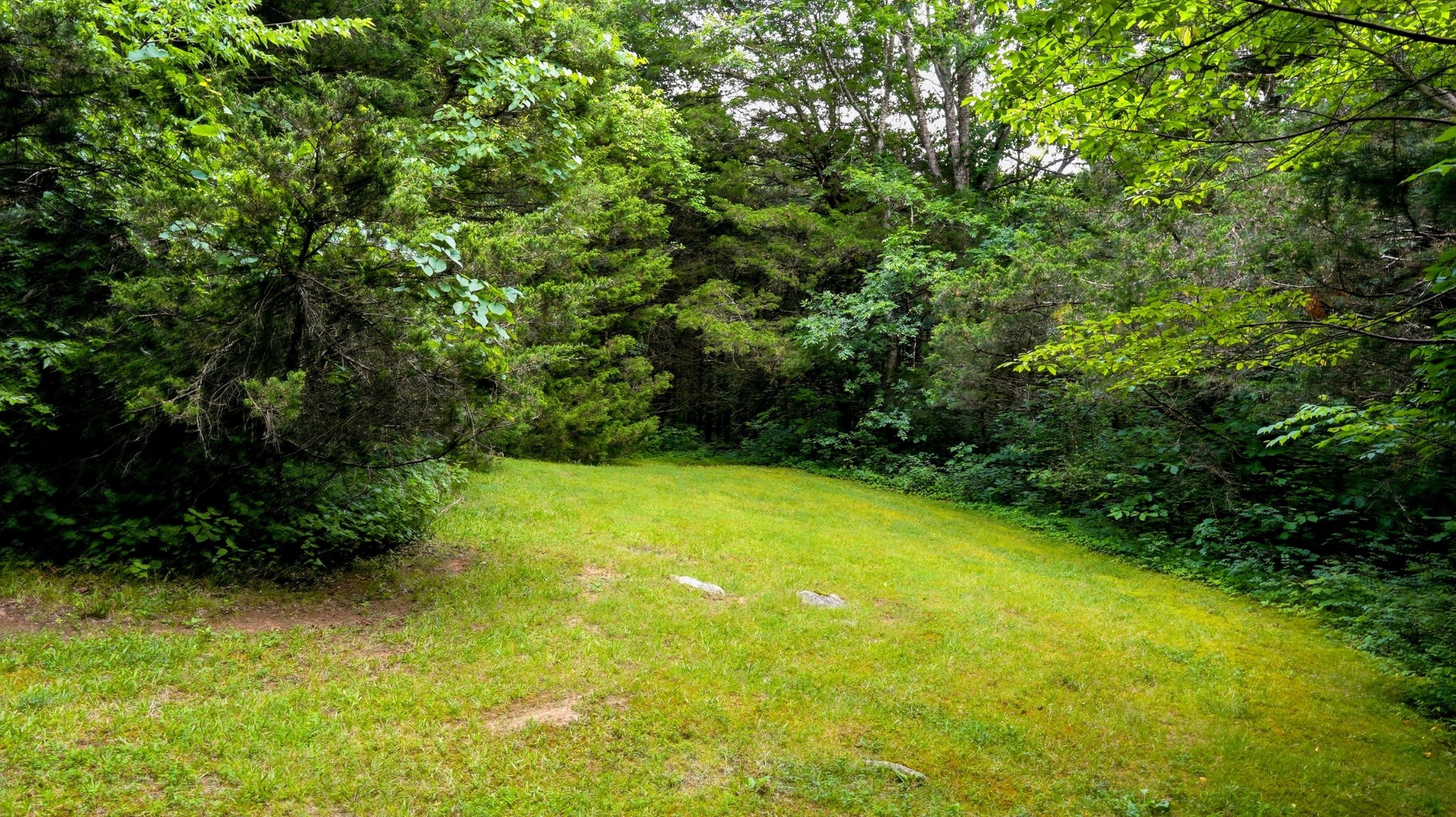 427 Adams Rd