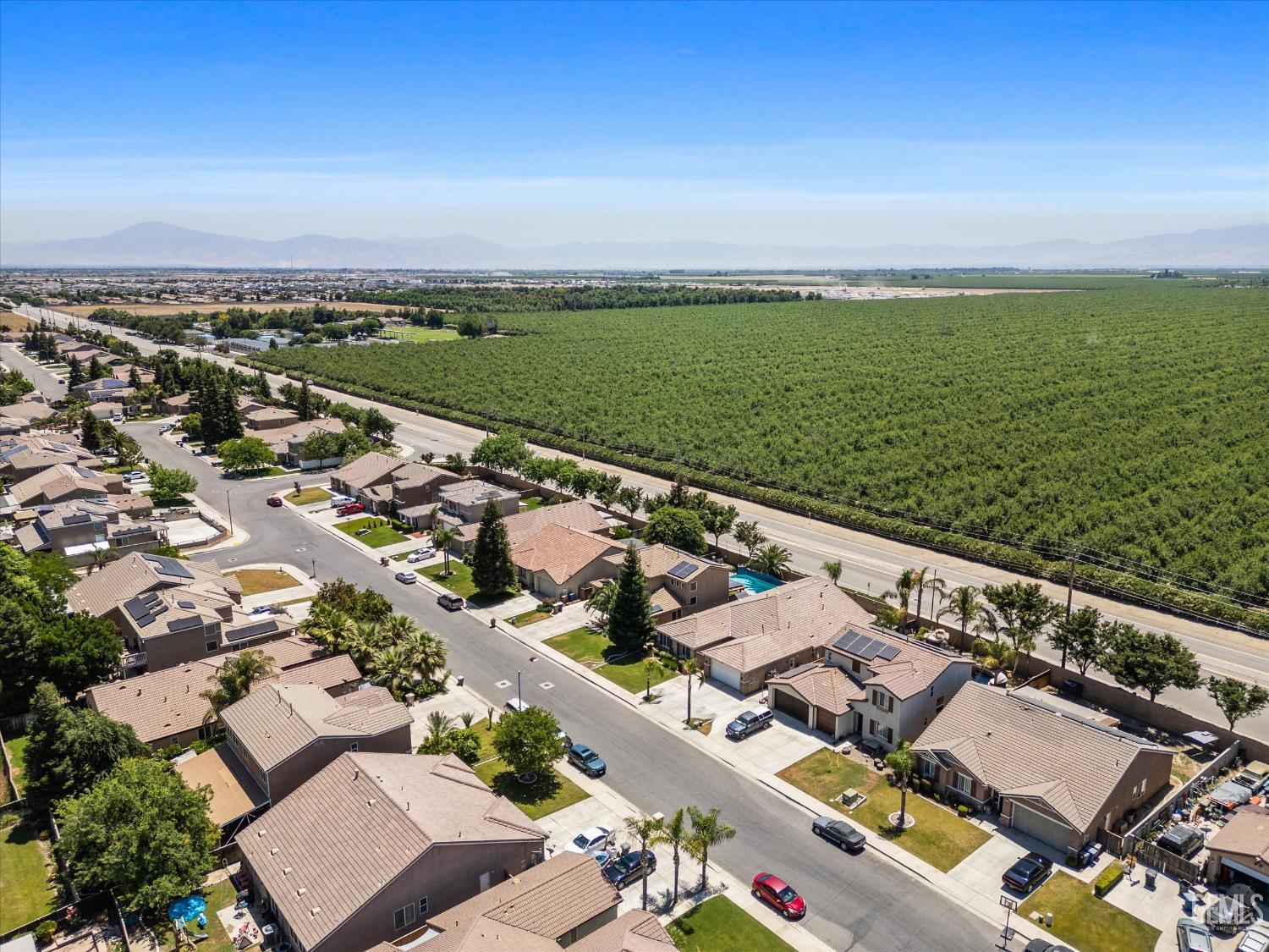 11919 Christmas Rose Drive