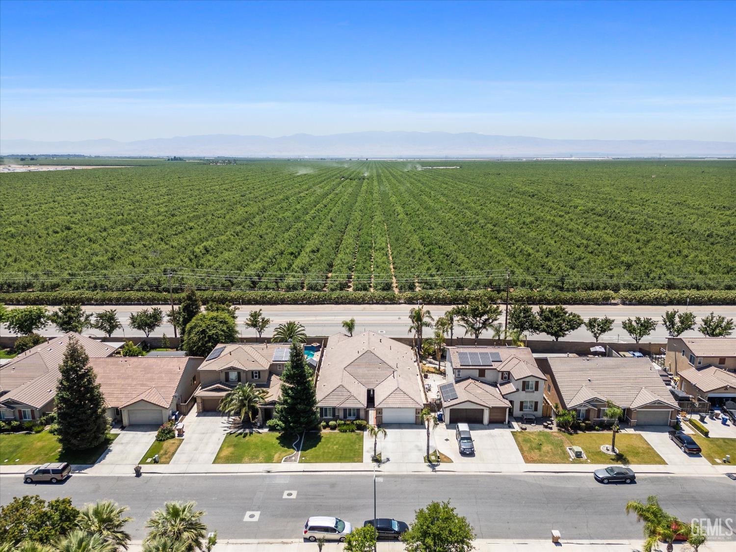 11919 Christmas Rose Drive