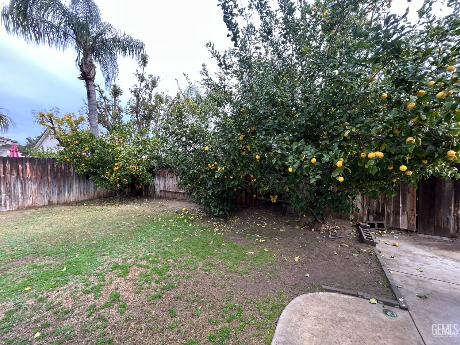 10718 Iron Creek Avenue