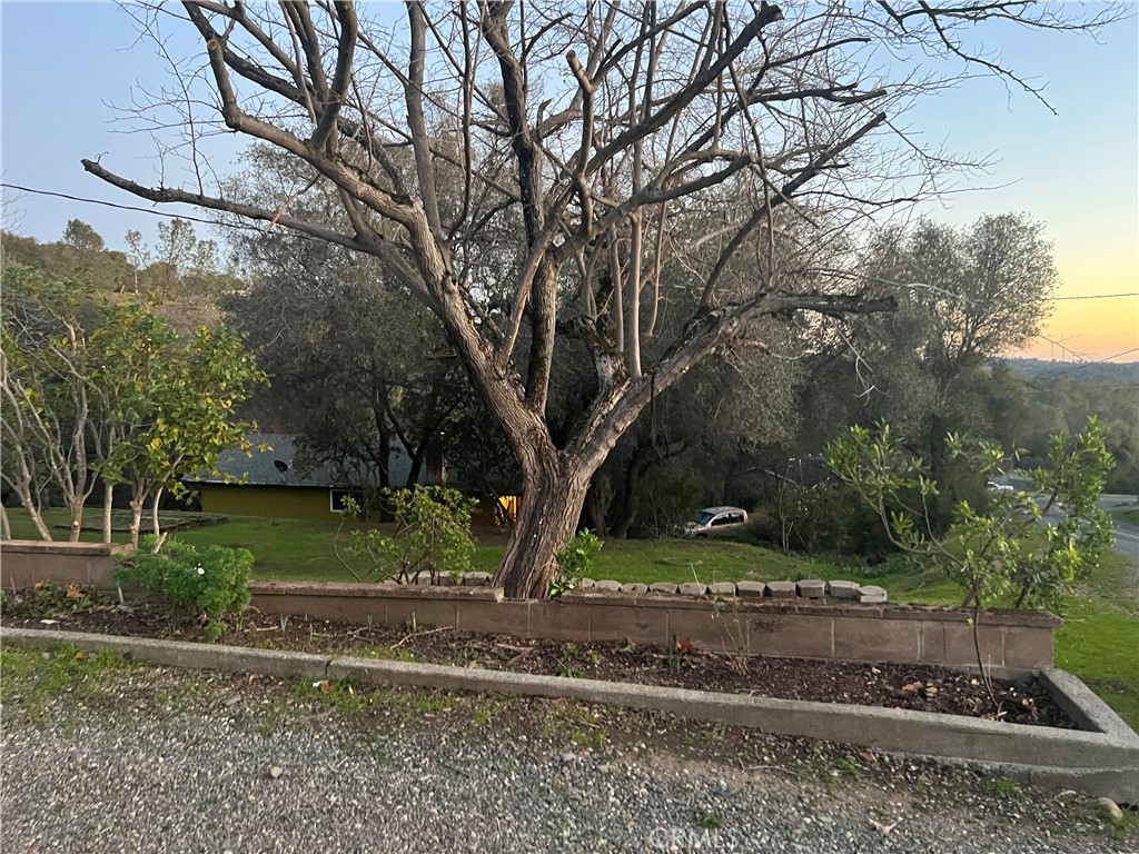 341 Skyline Boulevard