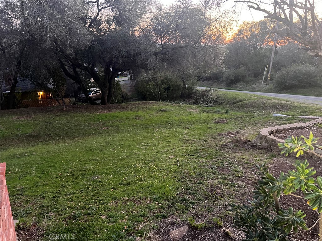 341 Skyline Boulevard