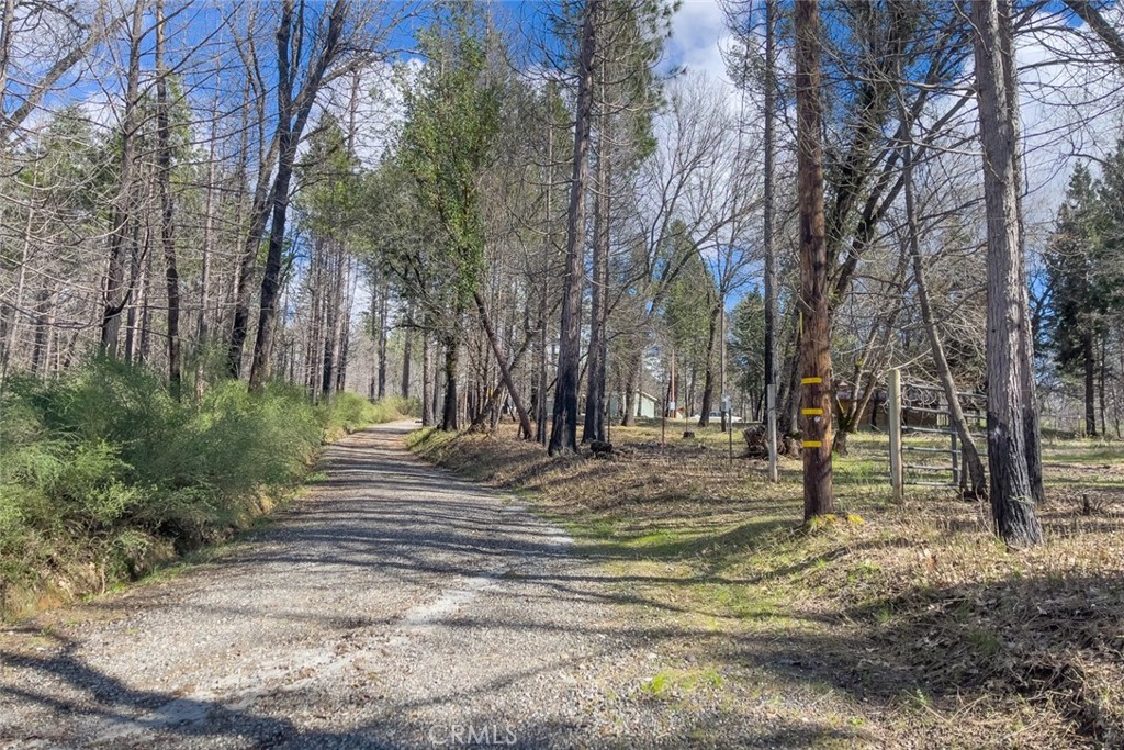 3860 Schandoney Lane