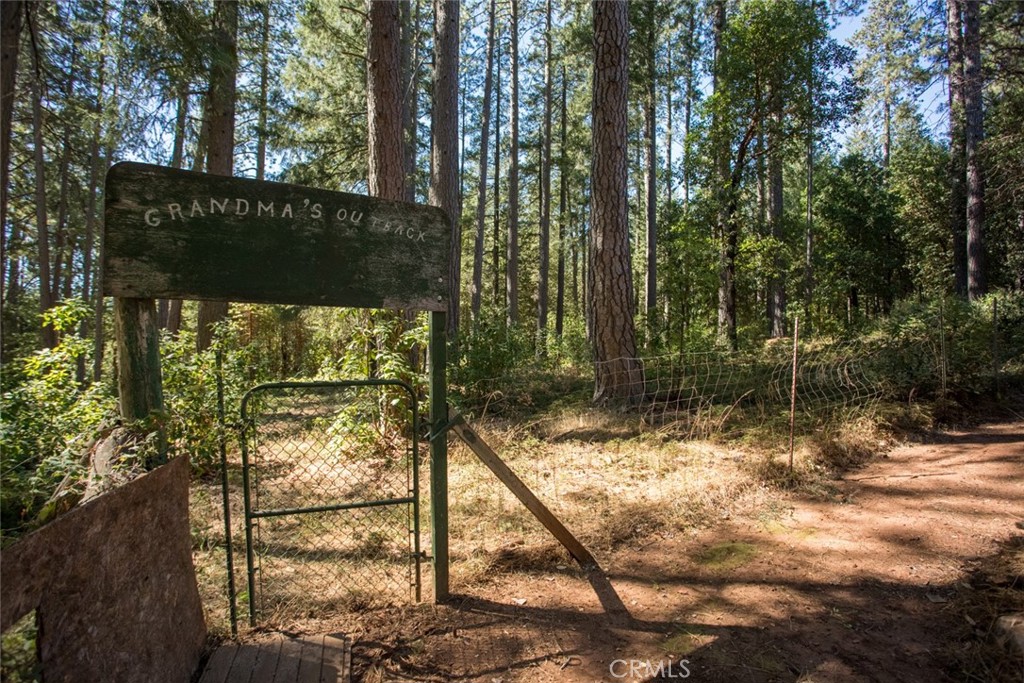 19163 New York Flat Rd