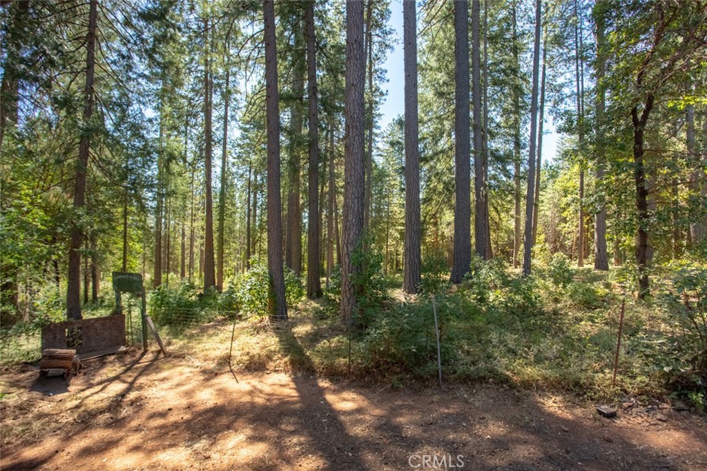 19163 New York Flat Rd