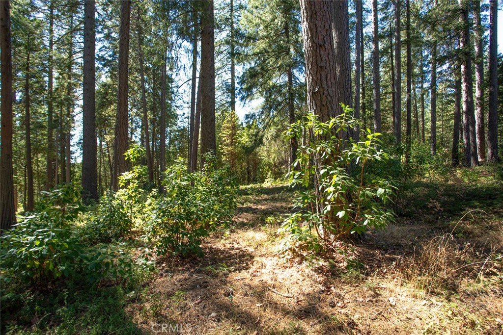 19163 New York Flat Rd