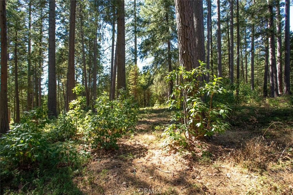 19163 New York Flat Rd