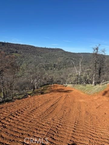 1484 Oregon Gulch Road