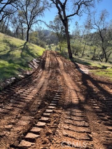 1484 Oregon Gulch Road