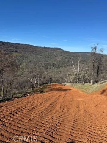 1484 Oregon Gulch Road