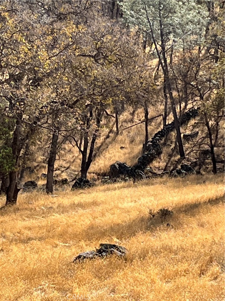 1484 Oregon Gulch Road