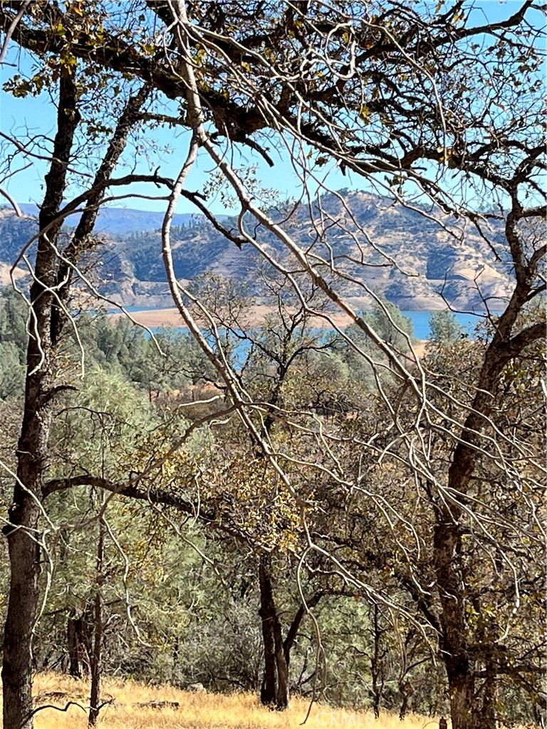 1484 Oregon Gulch Road