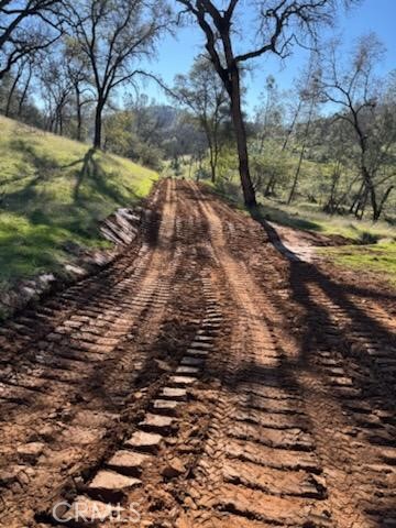 1484 Oregon Gulch Road