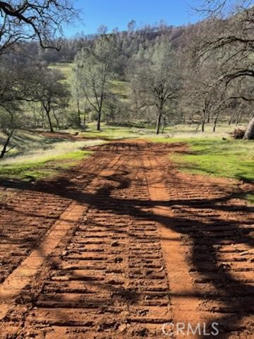 1484 Oregon Gulch Road