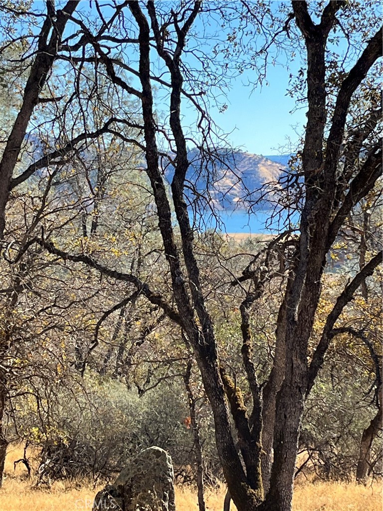 1484 Oregon Gulch Road