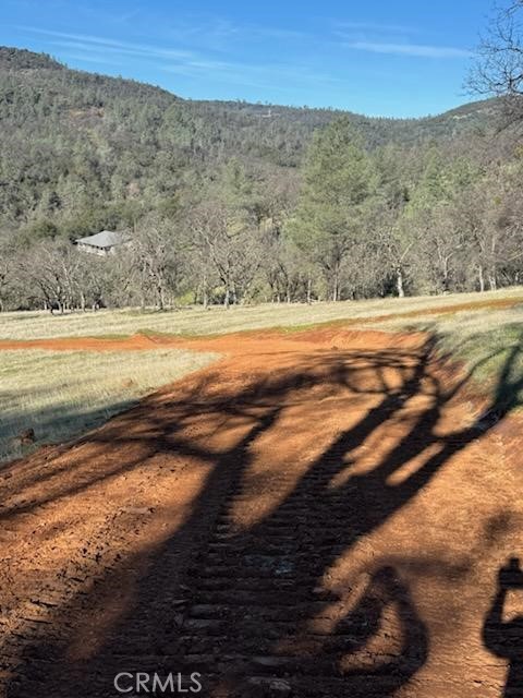 1484 Oregon Gulch Road