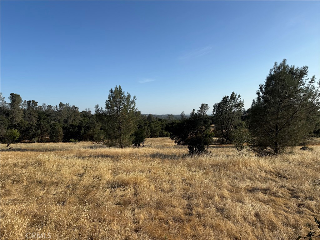 0 Skyline Boulevard
