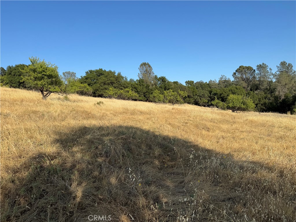 0 Skyline Boulevard