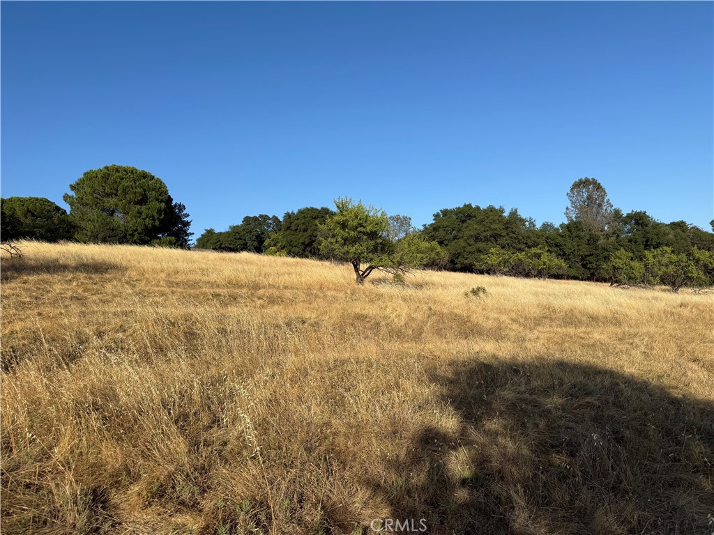 0 Skyline Boulevard