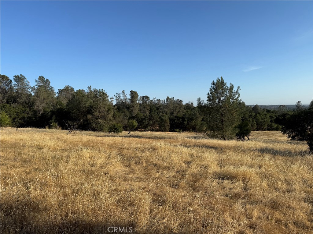 0 Skyline Boulevard