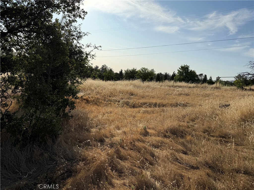 0 Skyline Boulevard