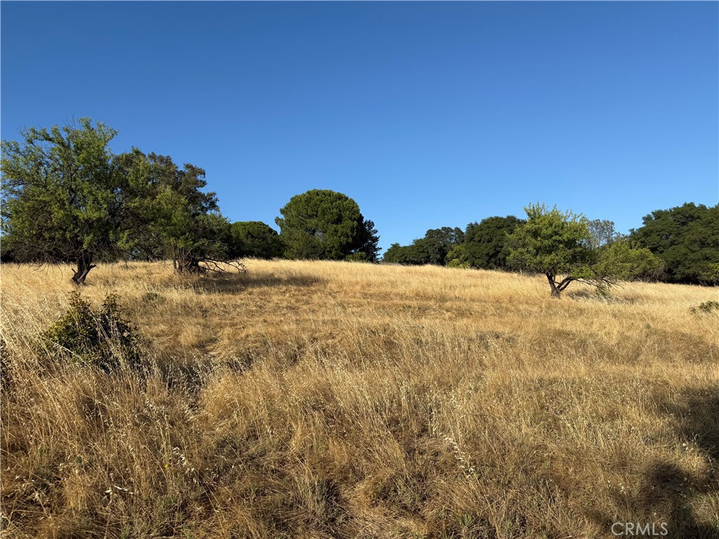 0 Skyline Boulevard