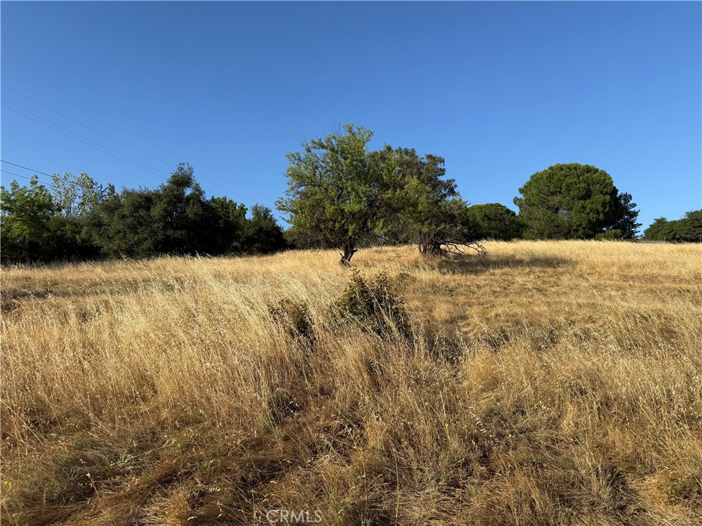 0 Skyline Boulevard