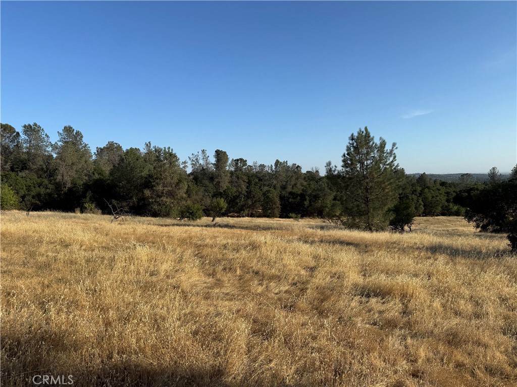 0 Skyline Boulevard