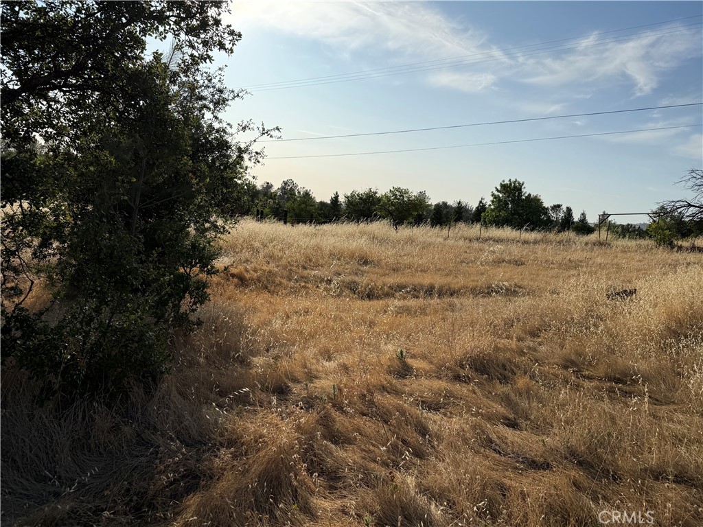 0 Skyline Boulevard