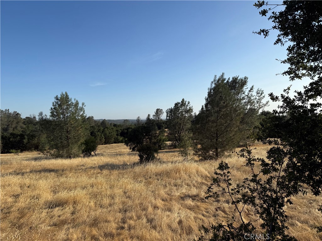 0 Skyline Boulevard