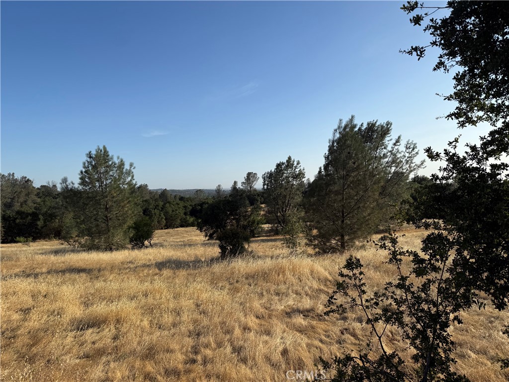 0 Skyline Boulevard