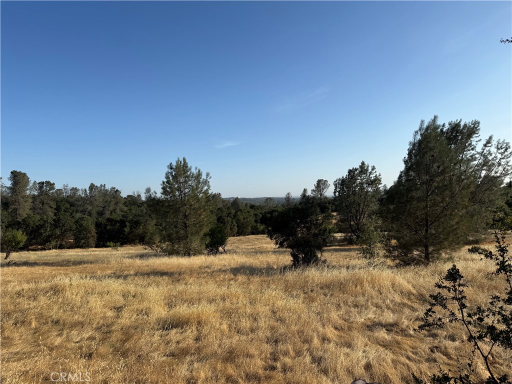 0 Skyline Boulevard
