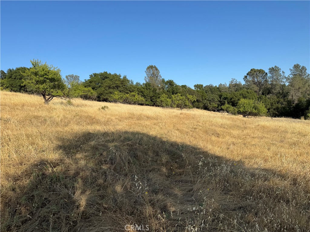 0 Skyline Boulevard