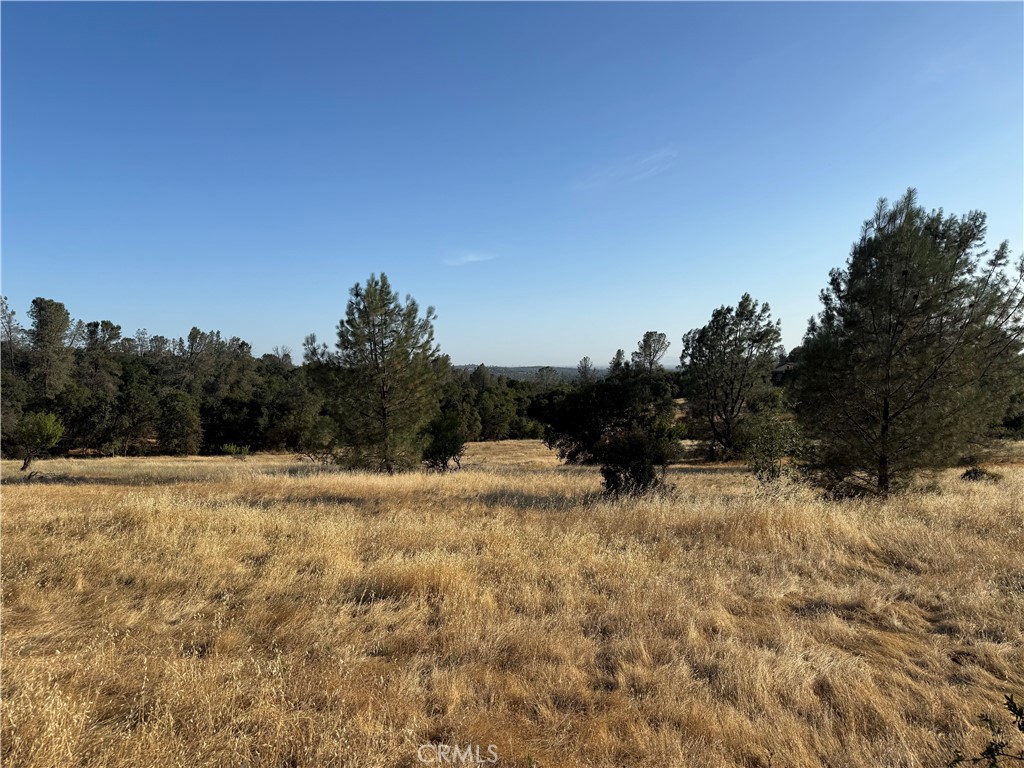 Open grassy parcel with scattered trees and gently rolling terrain beneath a wide blue sky.