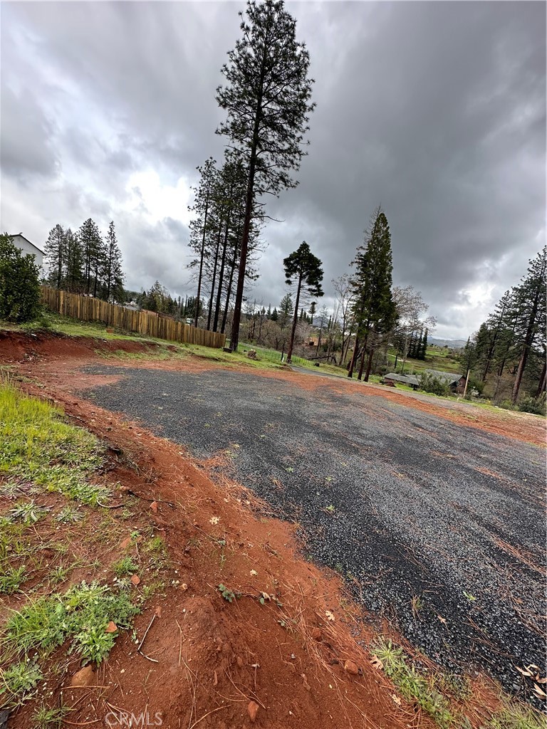 Vacant wooded lot with a wide gravel driveway, reddish soil, tall pines, and a wooden fence.