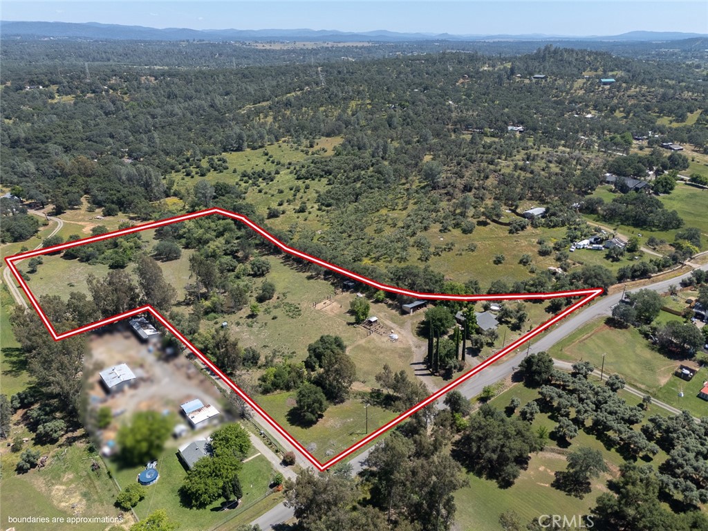 6755 Citrus