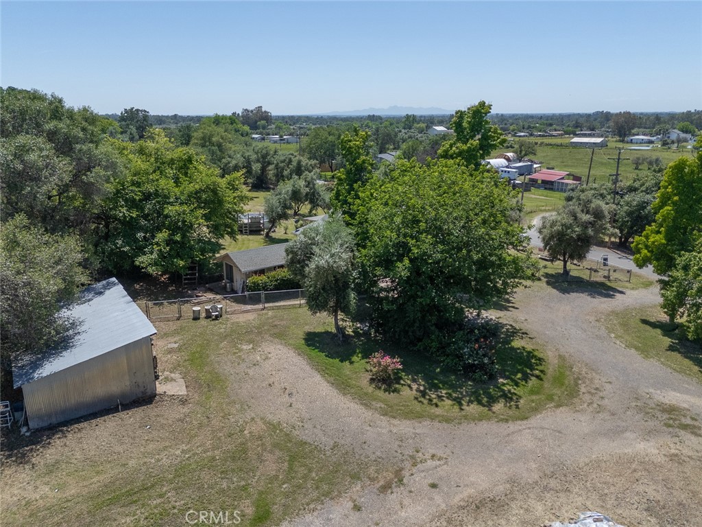 6755 Citrus