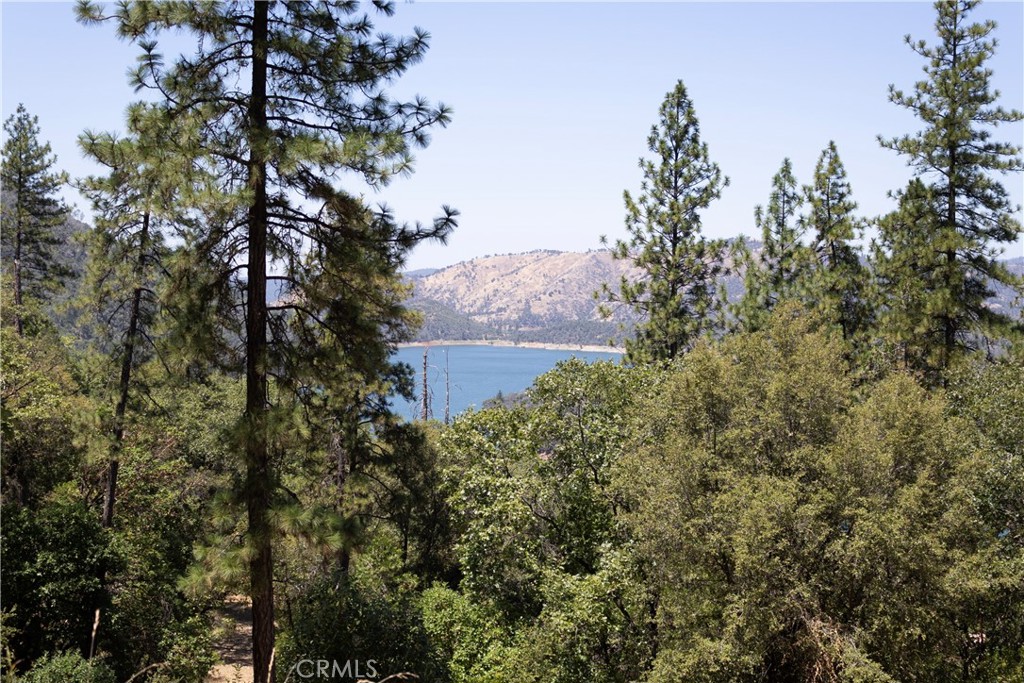 74 Lakeview Ridge